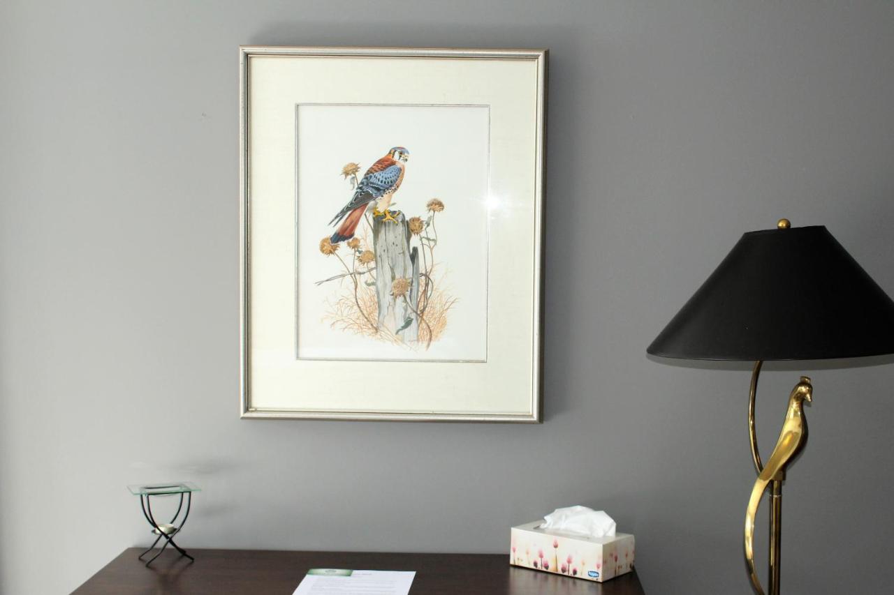 Tailwinds B&B Erin Bagian luar foto